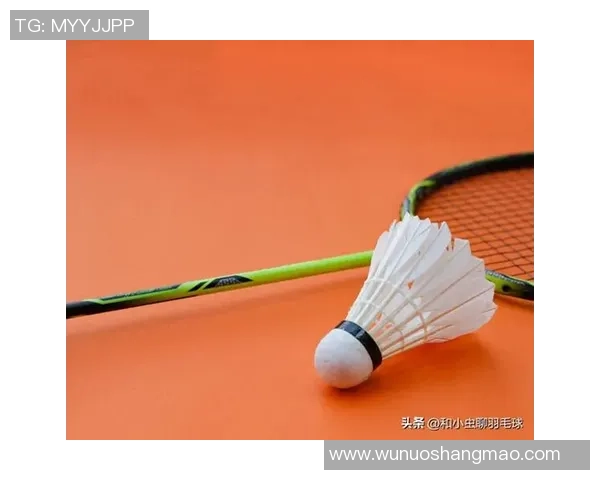 羽毛球新手攻略:耐力入门指南